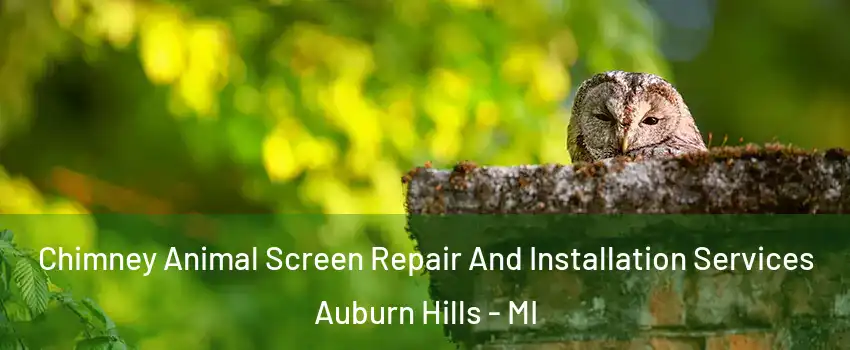  Chimney Animal Screen Repair And Installation Services Auburn Hills - MI