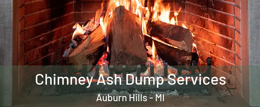  Chimney Ash Dump Services Auburn Hills - MI