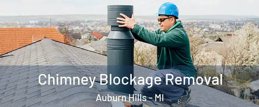  Chimney Blockage Removal Auburn Hills - MI