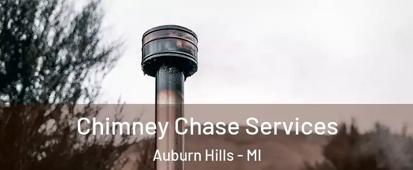  Chimney Chase Services Auburn Hills - MI