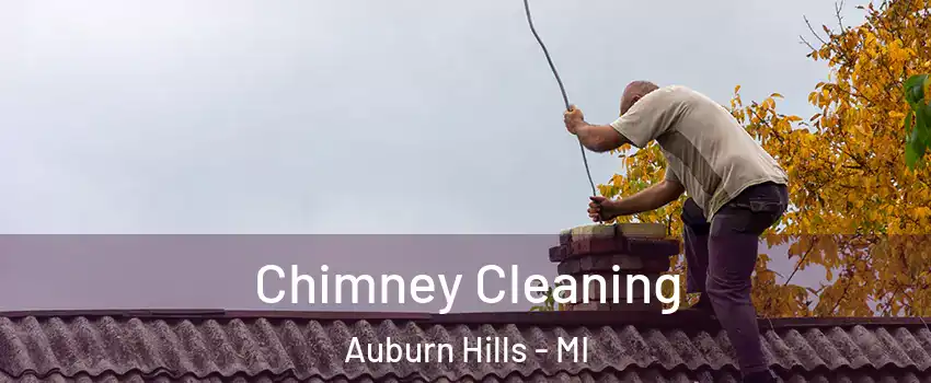  Chimney Cleaning Auburn Hills - MI