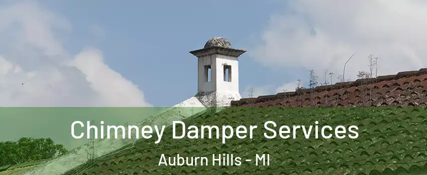  Chimney Damper Services Auburn Hills - MI