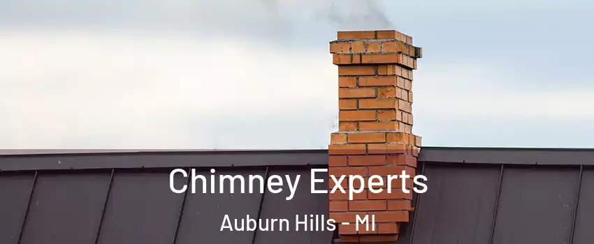  Chimney Experts Auburn Hills - MI