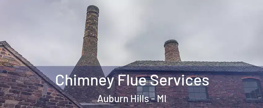  Chimney Flue Services Auburn Hills - MI