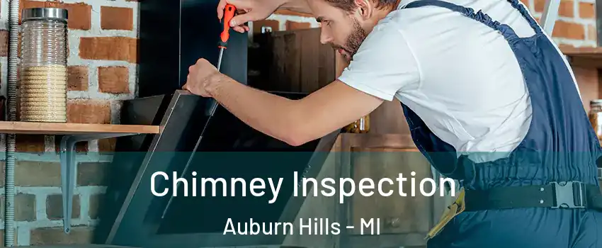  Chimney Inspection Auburn Hills - MI