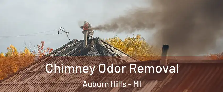 Chimney Odor Removal Auburn Hills - MI