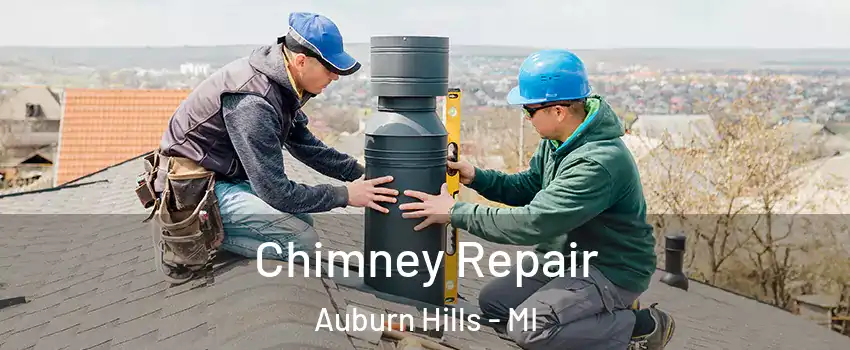  Chimney Repair Auburn Hills - MI