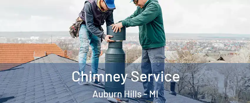  Chimney Service Auburn Hills - MI