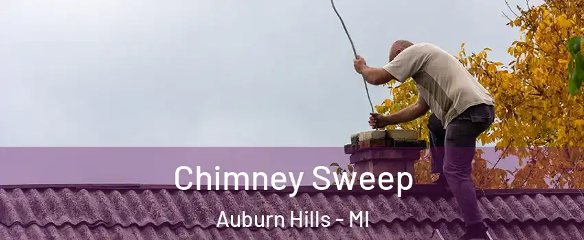  Chimney Sweep Auburn Hills - MI