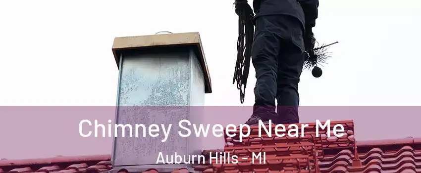  Chimney Sweep Near Me Auburn Hills - MI