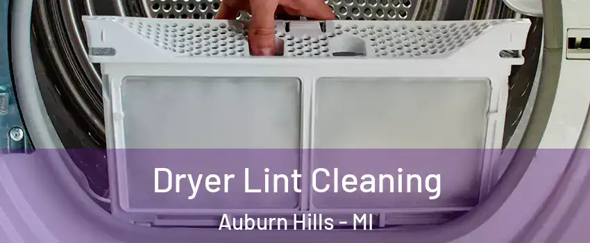  Dryer Lint Cleaning Auburn Hills - MI