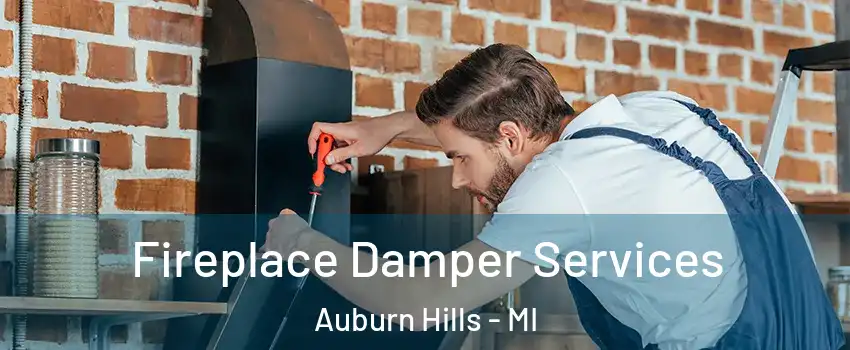  Fireplace Damper Services Auburn Hills - MI