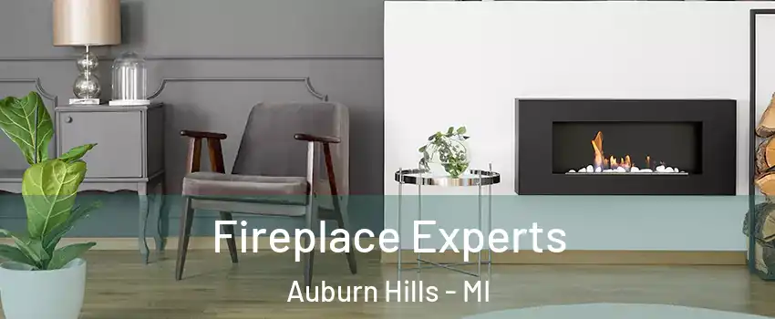  Fireplace Experts Auburn Hills - MI