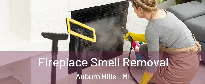  Fireplace Smell Removal Auburn Hills - MI
