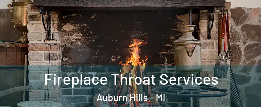  Fireplace Throat Services Auburn Hills - MI