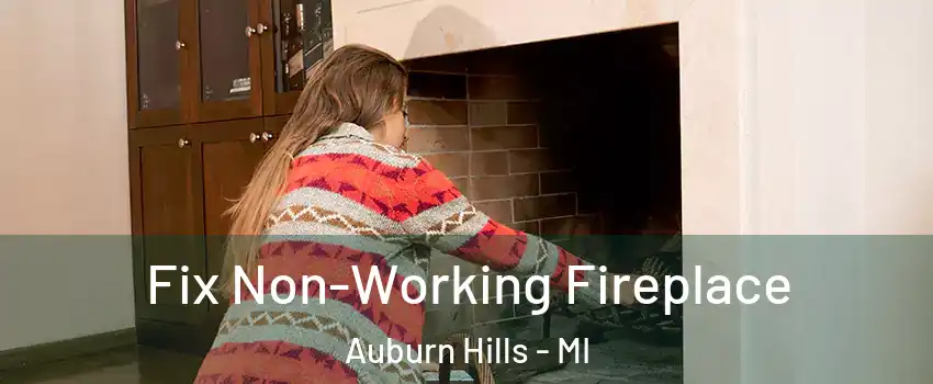  Fix Non-Working Fireplace Auburn Hills - MI