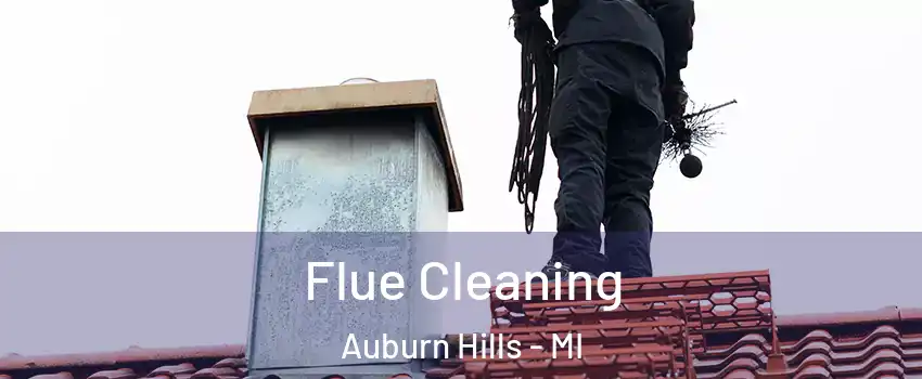  Flue Cleaning Auburn Hills - MI