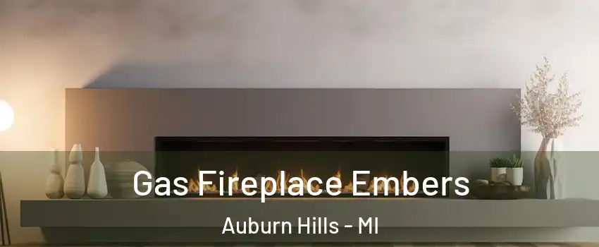  Gas Fireplace Embers Auburn Hills - MI