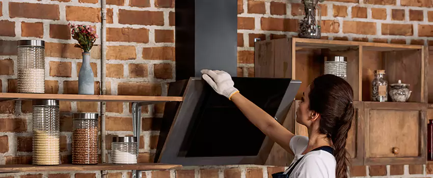 Chimney Installation in Auburn Hills, MI