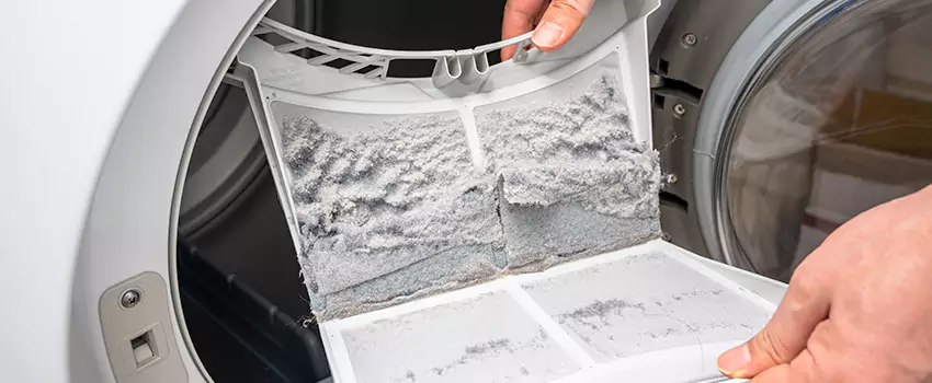Best Dryer Lint Removal Company in Auburn Hills, Michigan