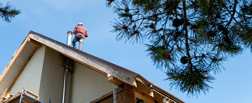 Birds Removal Contractors from Chimney in Auburn Hills, MI