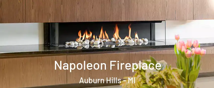  Napoleon Fireplace Auburn Hills - MI