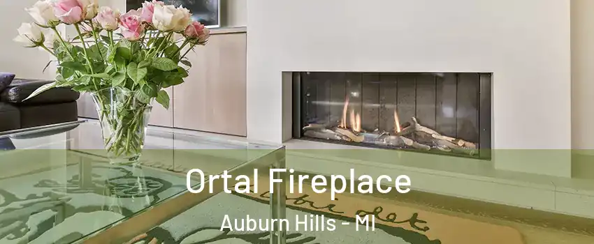  Ortal Fireplace Auburn Hills - MI