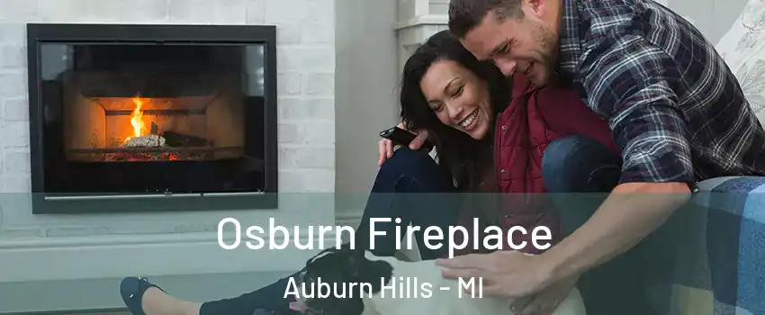  Osburn Fireplace Auburn Hills - MI